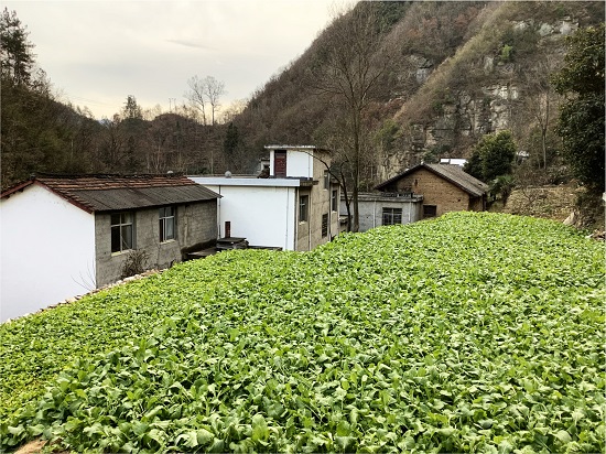 商洛市商南縣鄉(xiāng)建設用地增減掛鉤項目.jpg